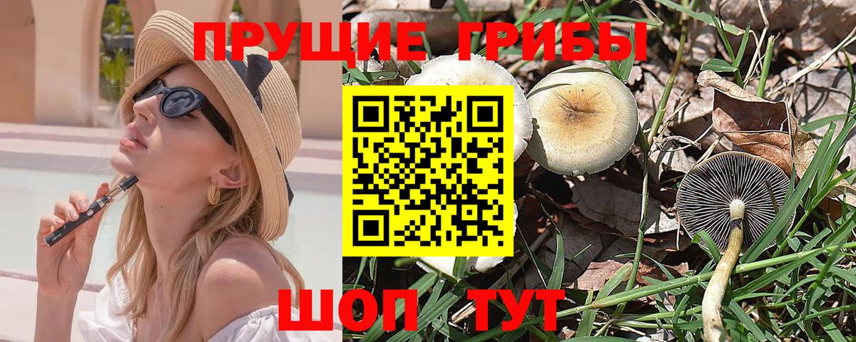 Псилоцибиновые грибы MAGIC MUSHROOMS  Галлюциногенные грибы GOLDEN TEACHER  Урай  Вход с VPN 